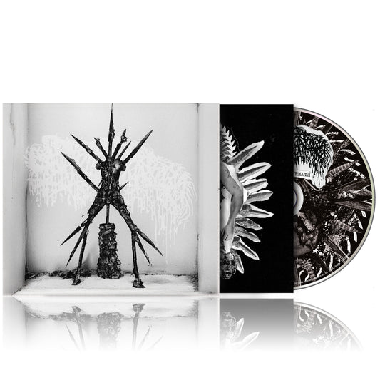 Hideous Aftermath CD